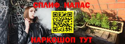 прущие грибы Моздок