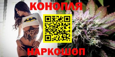 прущие грибы Моздок