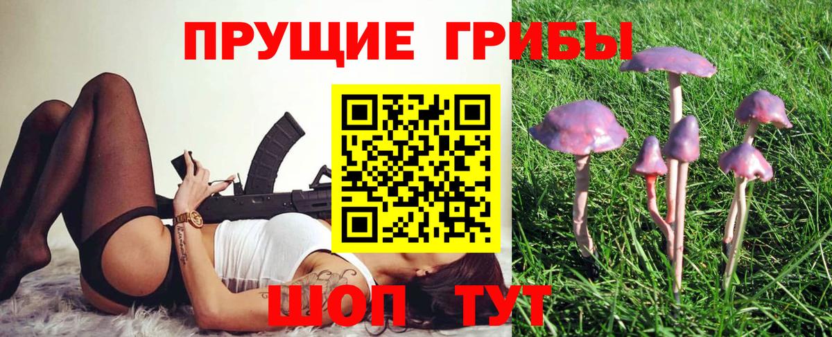 Узловая  Псилоцибиновые грибы GOLDEN TEACHER  Вход с VPN  Галлюциногенные грибы ЛСД 